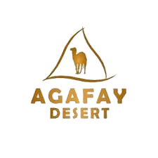 Get Your Agafay Desert Tickets | Wedding | Dinner Show | Events | Day Pass & Pool | Camel Ride | Quads & Buggy